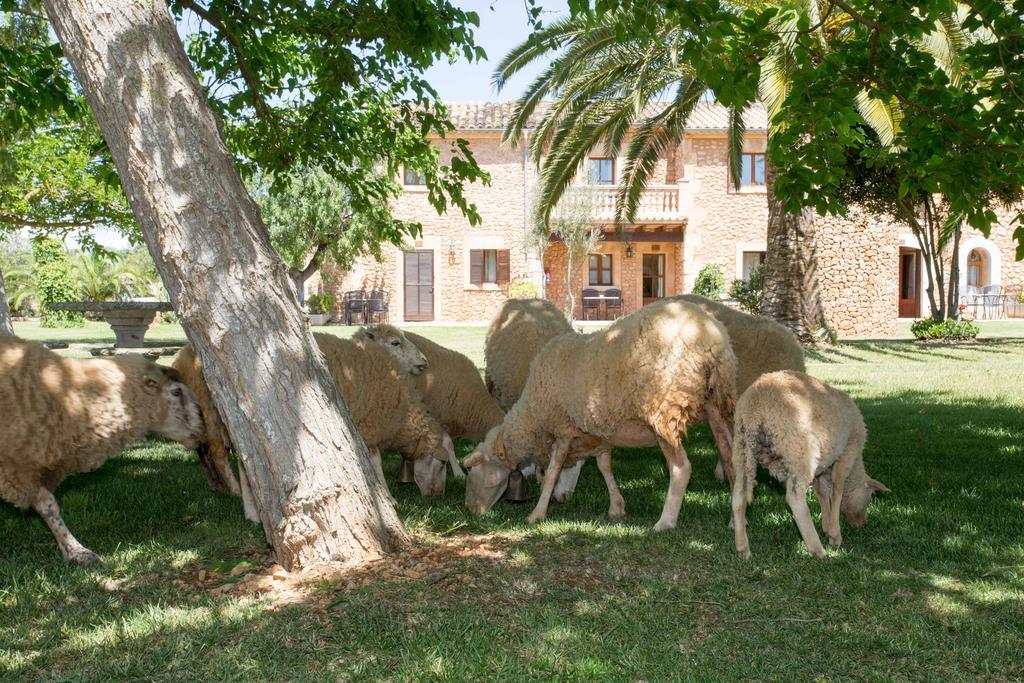 Agroturismo Es Quatre Cantons Бинисалем Екстериор снимка