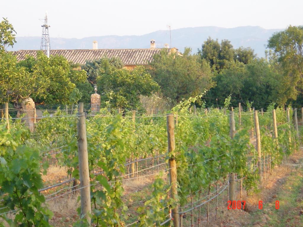 Agroturismo Es Quatre Cantons Бинисалем Екстериор снимка
